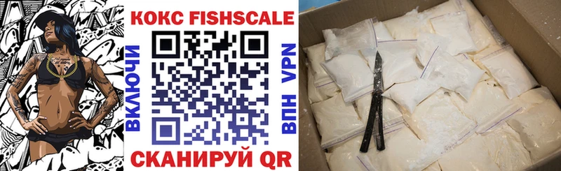 Купить  Ялуторовск  COCAIN FishScale 
