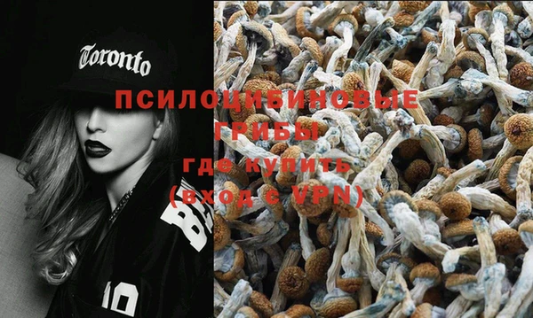 jwh Кукмор